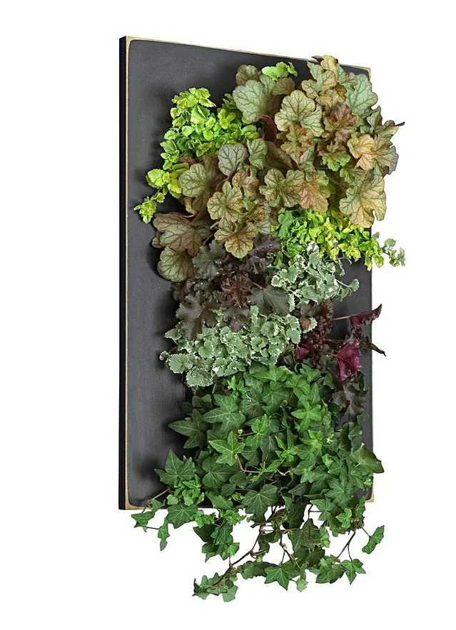 Black Framed GroVert Living Wall Kit — Edible Walls